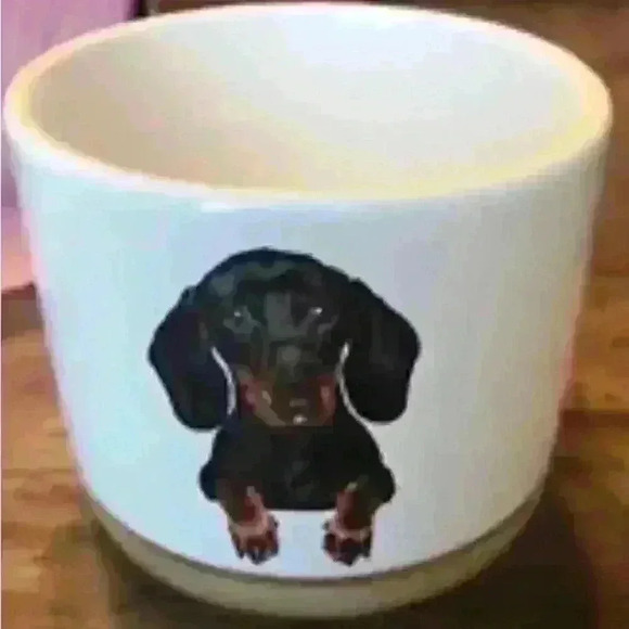 NEW Dachshund Mini Ceramic Flower Pots (3) with Bamboo Detachable Bases - Picture 3 of 5